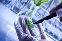 جایزه ملی به برترین‌های زیست‌فناوری اعطا شد