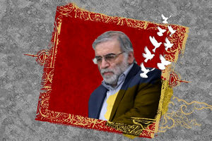 واکنش کره جنوبی به ترور شهید محسن فخری زاده 