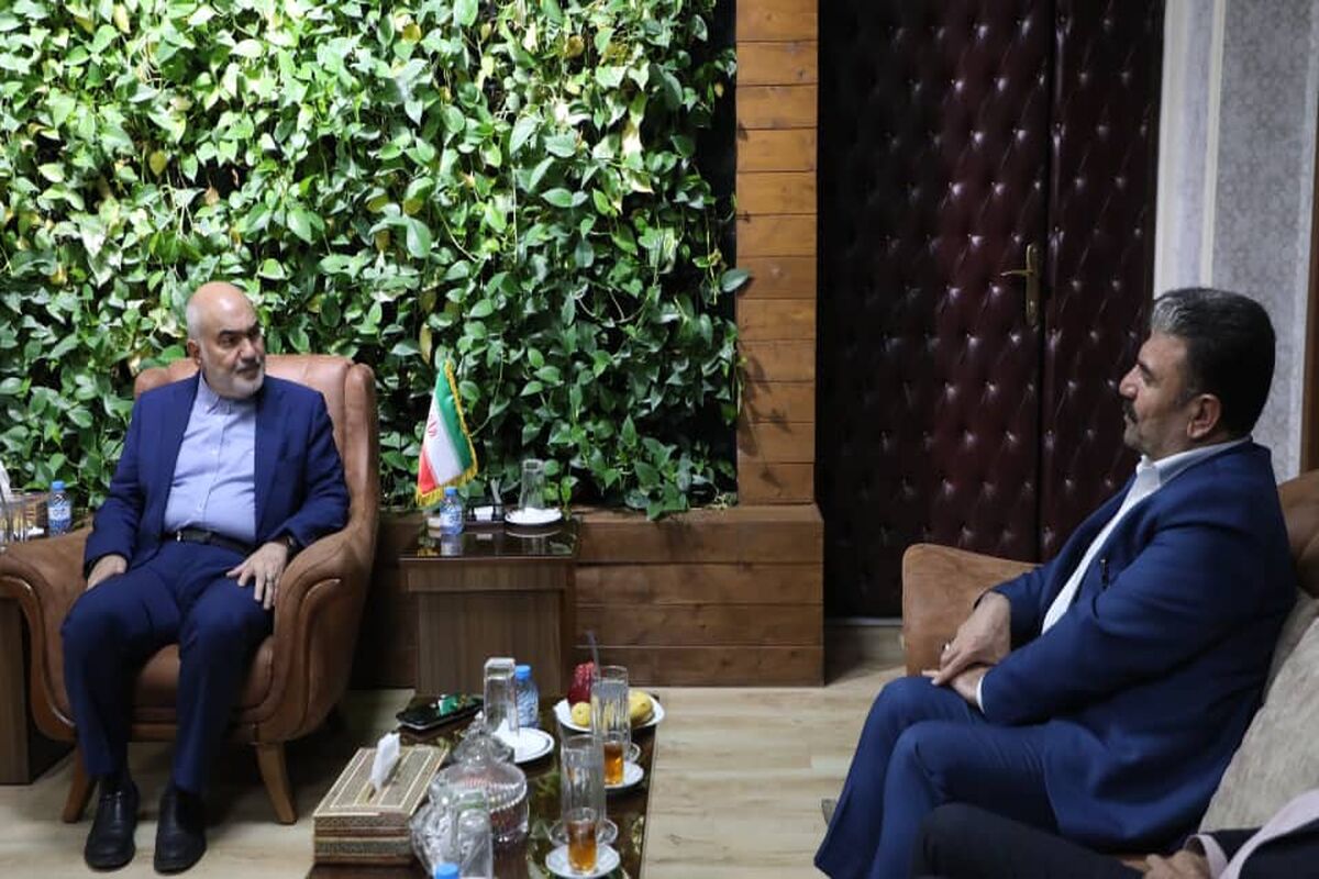 مهارت آموزی 