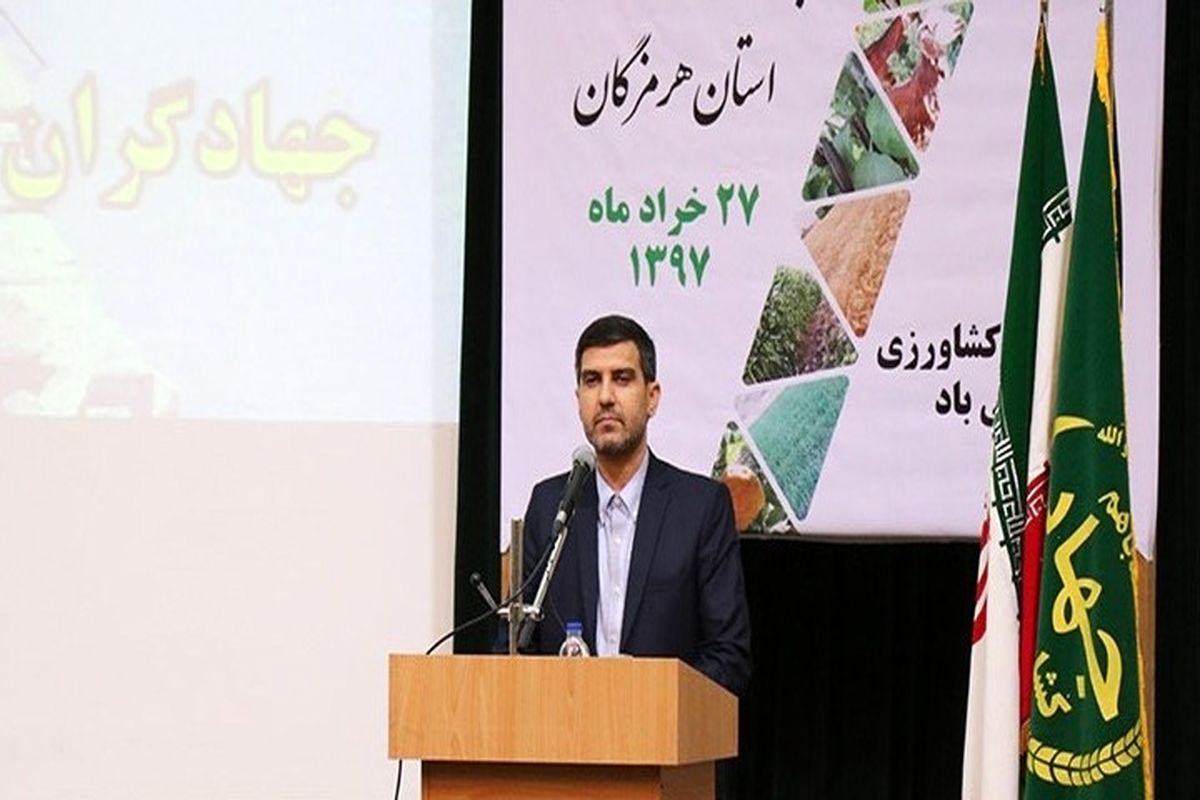 ناصر شریفی1