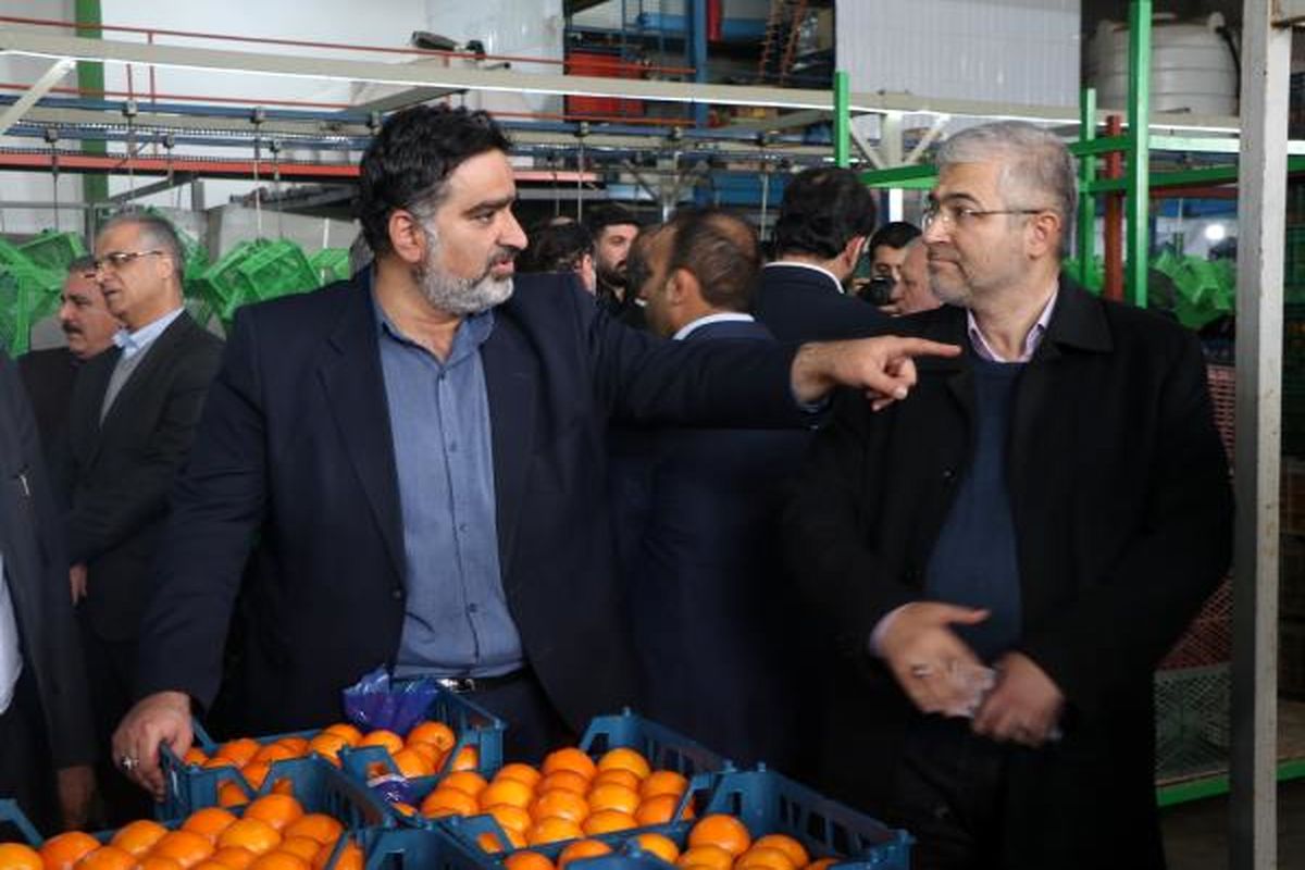 رئیس سازمان جهاد کشاورزی مازندران 