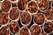 کشف و توقیف محموله تنباکوی قاچاق در سمیرم 