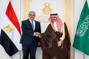  وزرای امور خارجه مصر و عربستان با هم گفتگو کردند