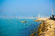 پایداری جوی و غبار محلی در سواحل هرمزگان / تردد شناورها با احتیاط انجام شود 