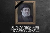 تصاویری از آماده‌سازی محل دفن پیکر شهید صفی‌الدین در لبنان + فیلم