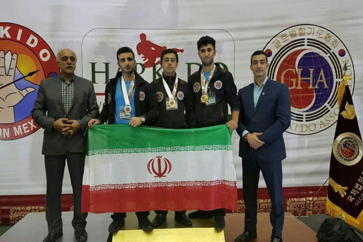 هاپکیدو