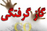رئیس آتش‌نشانی کرمانشاه نسبت به افزایش گازگرفتگی هشدار داد