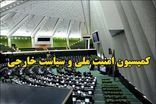 تحقق کامل شروط رهبری انقلاب در تفاهم را تا انتها پیگیری می‌کنیم