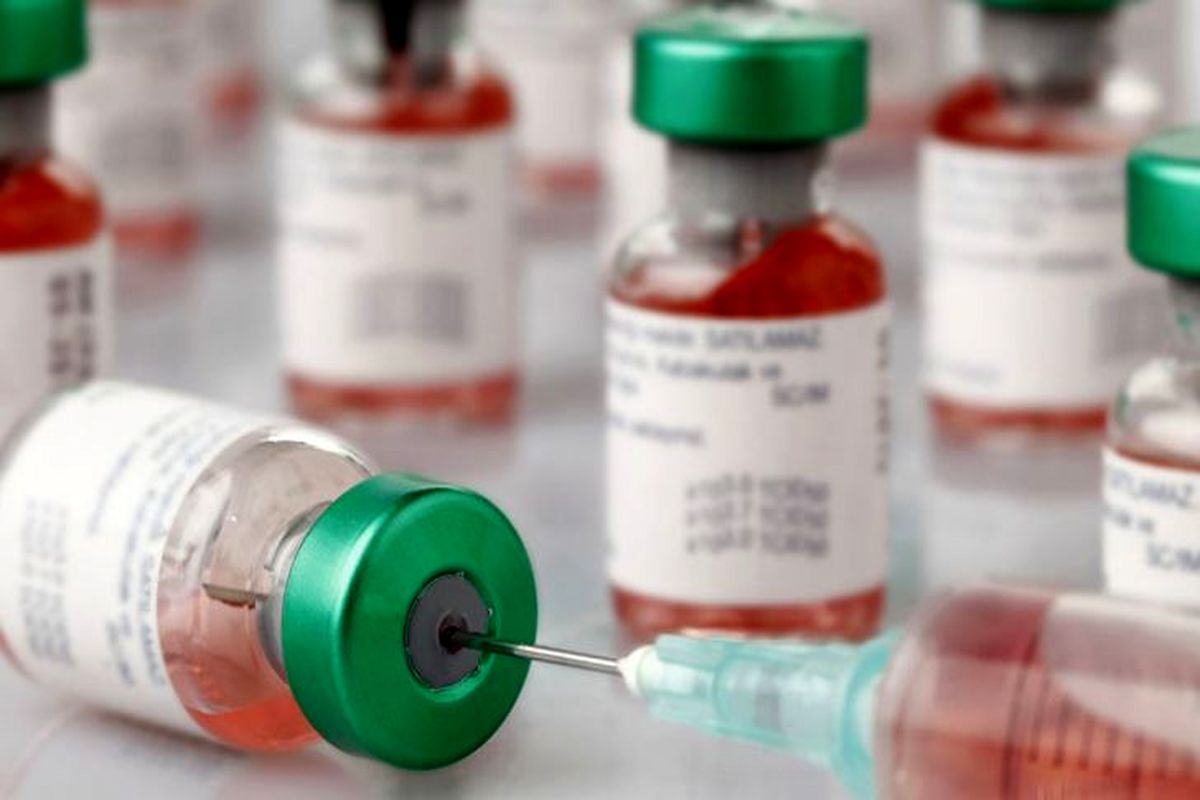 داروهای دامی