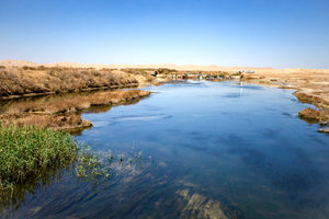 تالاب بین‌المللی گاوخونی سند خورد
