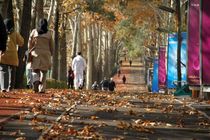 پیاده روی اندک هم طول عمر را افزایش می دهد