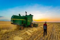 برنامه کشت گندم در سال زراعی جدید استان قزوین ابلاغ شد