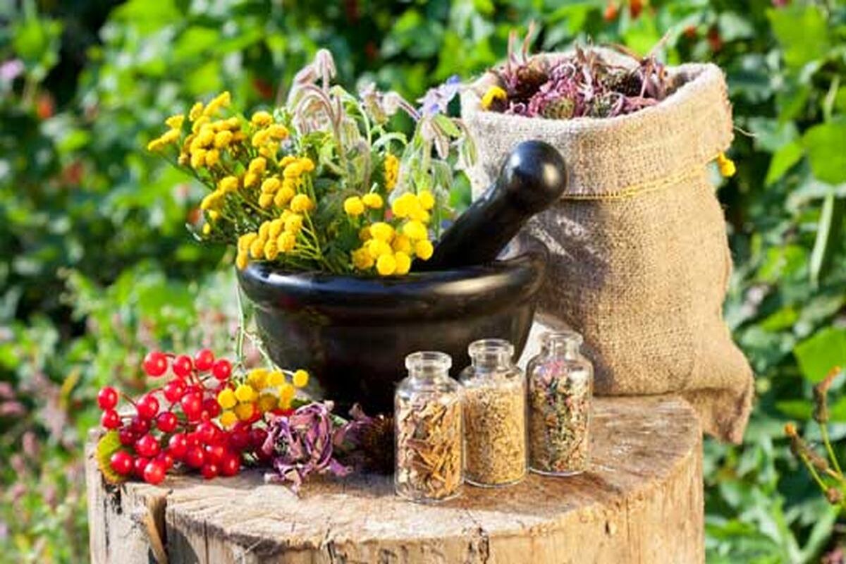 طب+سنتی+ادویه