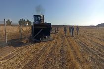 آزادسازی ۲۶۰۰ مترمربع از اراضی ملی و دولتی با ارزشی بالغ بر ۵ میلیارد تومان