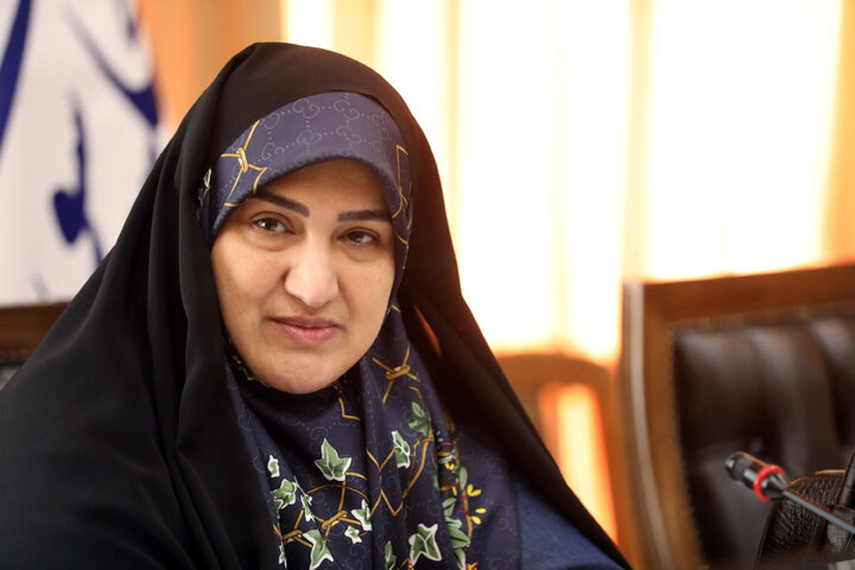 نماینده مجلس رفیعی