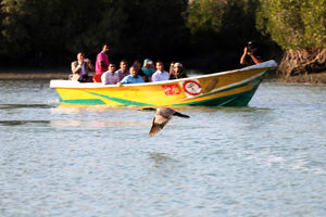 هرمزگان می تواند به عنوان قطب گردشگری در کشور مطرح شود