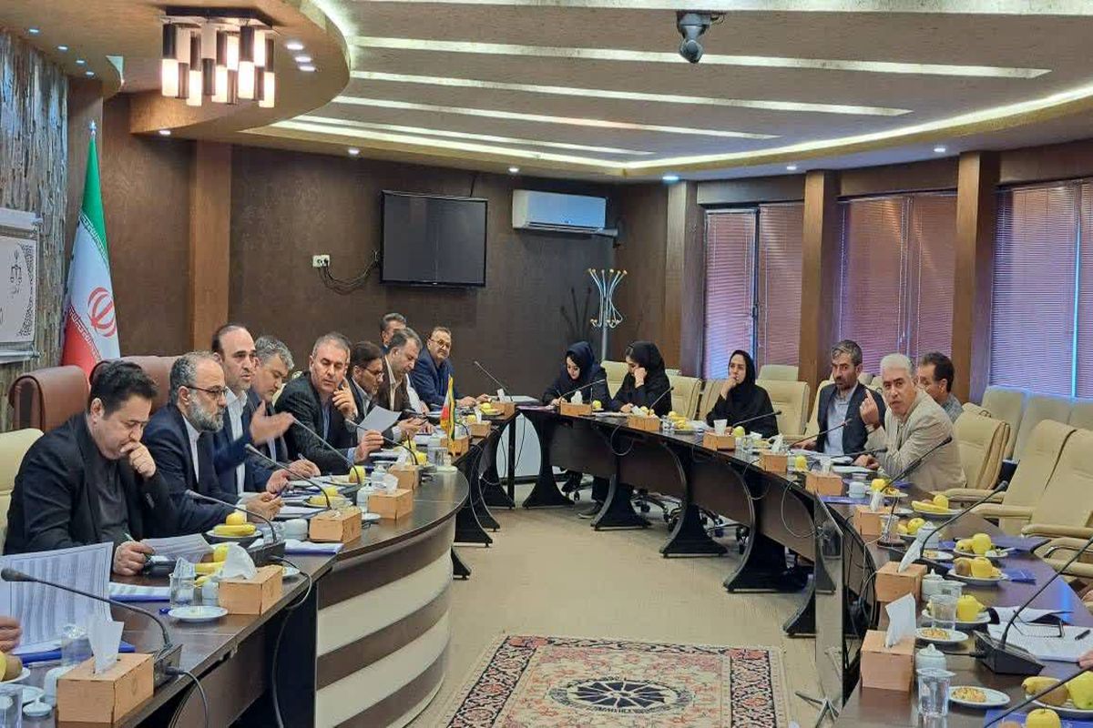 حمایت از سرمایه گذاران