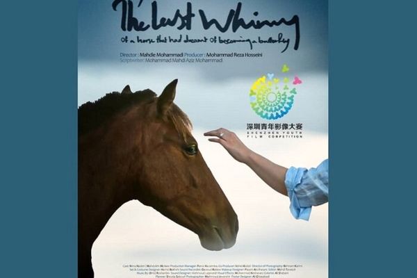 فیلم کوتاه" آخرین شیهه اسبی" به جشنواره شنژن چین راه یافت
