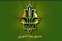 مصوبه دولت درباره پرداخت بدهی صندوق بیمه محصولات کشاورزی به بانک کشاورزی ابلاغ شد