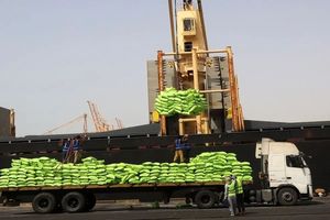 محموله‌های برنج در گمرکات تعیین تکلیف شد