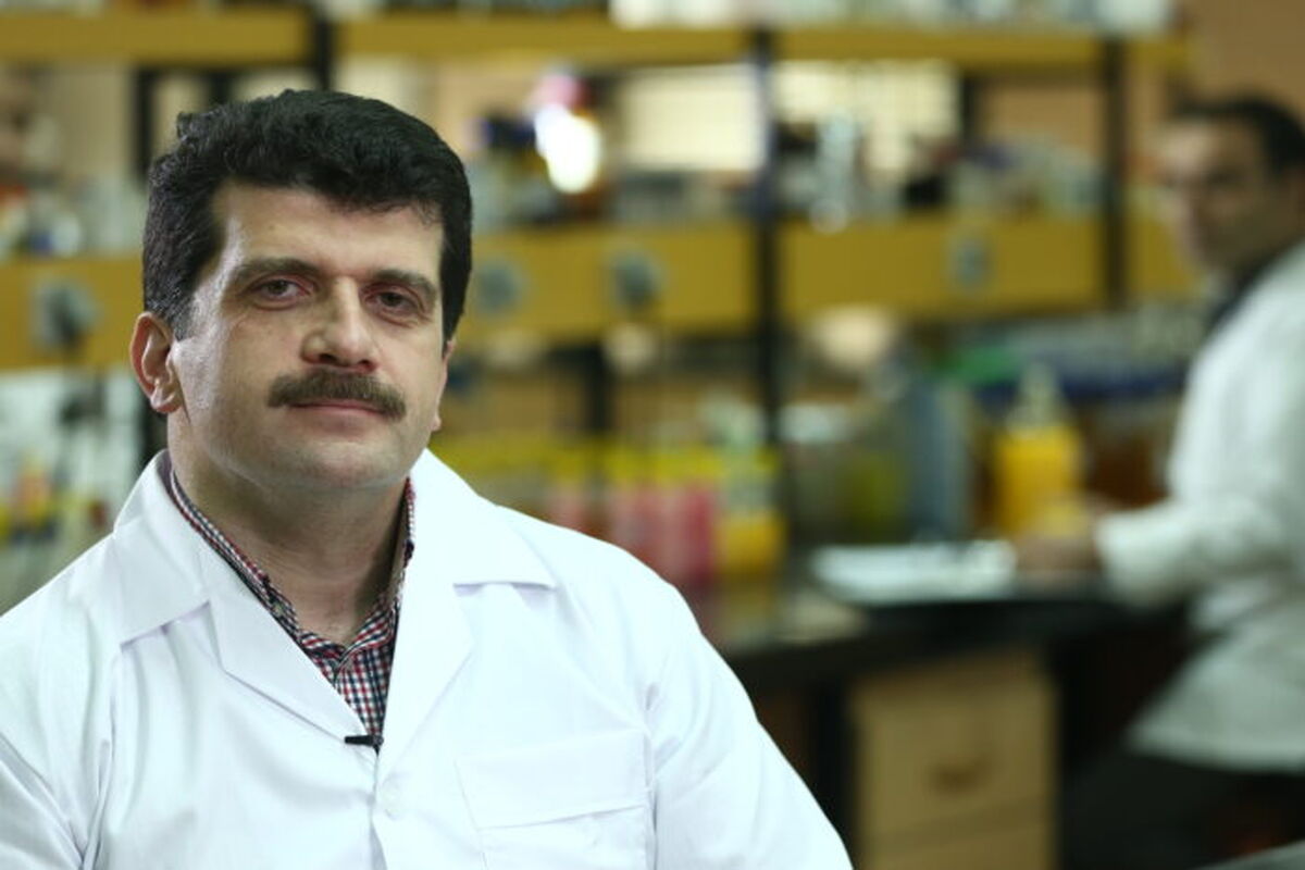 سید علی فاطمی