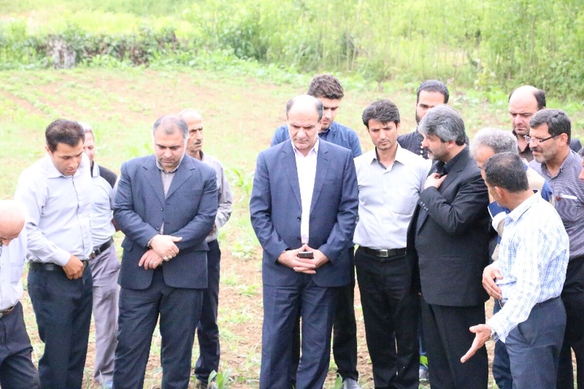 رحیم حیدری
