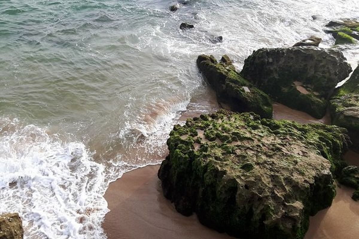 اقتصاد دریایی در کما