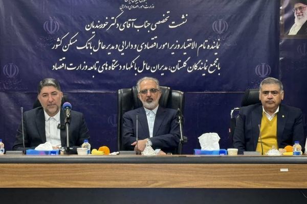 نماینده وزیر اقتصاد بر گره گشایی بانکی و تسریع در روند تامین منابع تاکید کرد