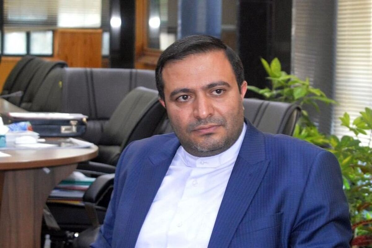 مدیرعامل گروه سرمایه‌گذاری مسکن