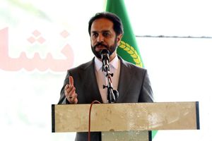 نرخ گذاری  برنج مازندران باید موجب ایجاد انگیزه کشاورزان شود