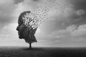 برای جلوگیری از آلزایمر چه باید کرد؟