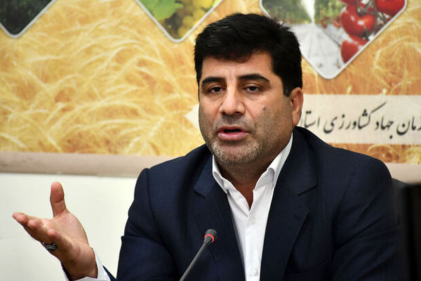  وزارت جهاد کشاورزی برای تحقق شعار سال ۱۴۰۴ چه برنامه ای دارد؟