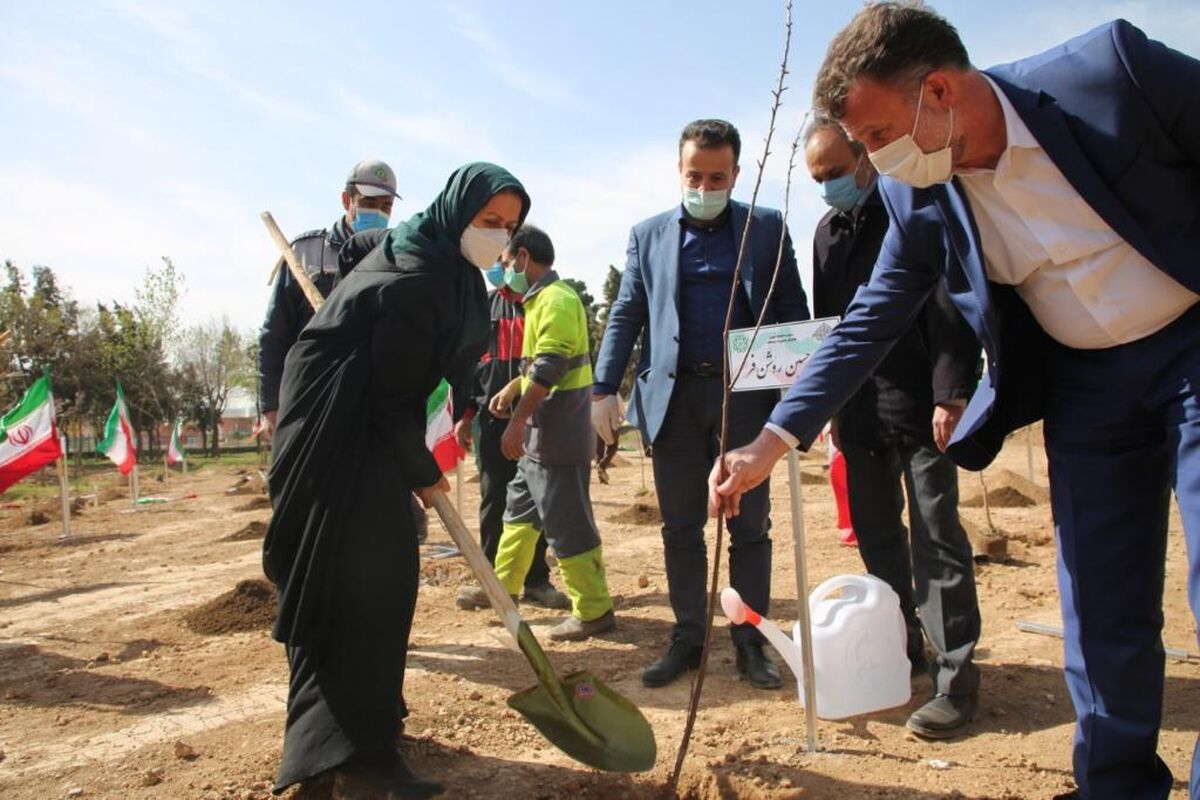 درختکاری