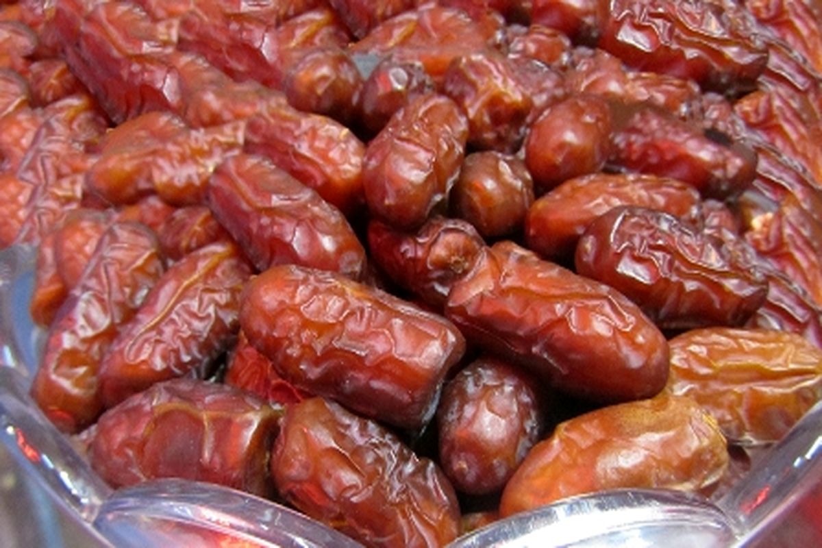 خرمای پیارم - هرمزگان