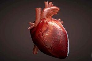 این نشانه ‌ها یعنی شما بیماری قلبی دارید