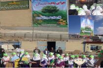 برگزاری برنامه های متنوع در شهرستان تیران و کرون 
