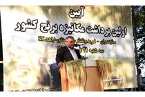 95 درصد برداشت برنج مکانیزه است/ افزایش 10 درصدی تولید برنج