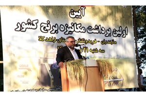 95 درصد برداشت برنج مکانیزه است/ افزایش 10 درصدی تولید برنج