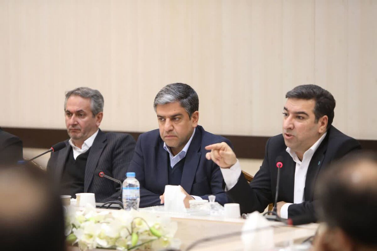 مدیرعامل بانک توسعه تعاون در اردبیل