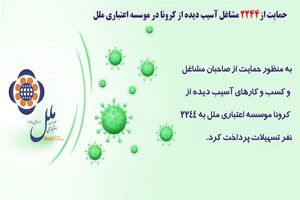 حمایت از 2244 مشاغل آسیب دیده ازکرونا در موسسه اعتباری ملل
