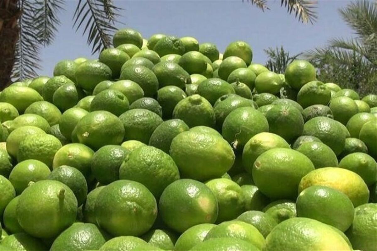 لیموترش