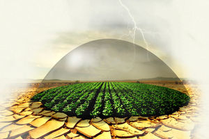 دولت تا میزان ۷۸ درصد حق بیمه محصولات کشاورزی را پرداخت می‌کند