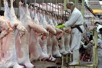 بیش از 4 هزار راس دام تحت نظارت دامپزشکی در خوزستان ذبح گردید