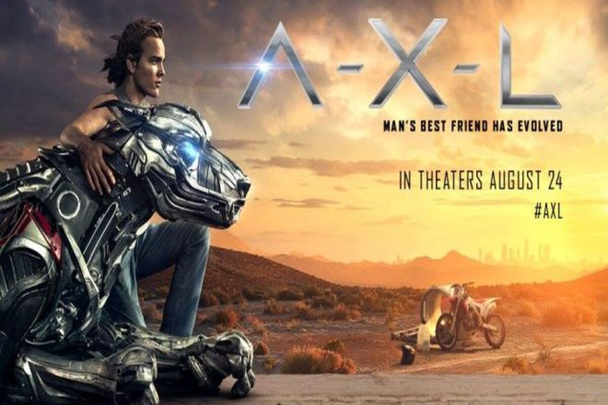 A.X.L