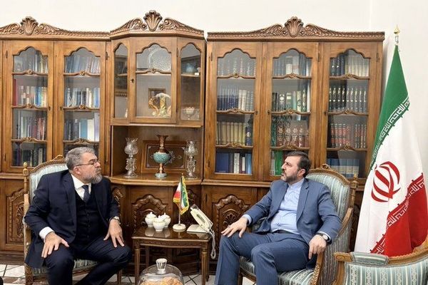 ظرفیت های بالایی در تعاملات بین ایران و برزیل وجود دارد