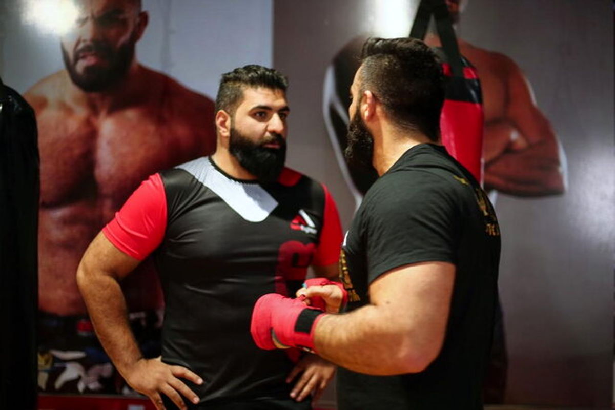 علیرضا استکی