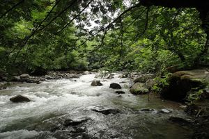 اخذ سند مالکیت برای ۴۴۷ هکتار از اراضی شهرستان گرمی