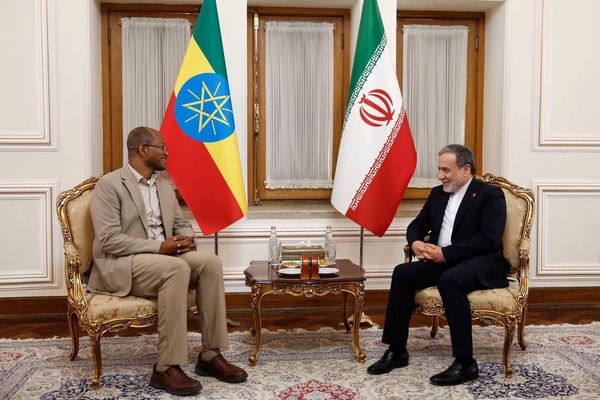 عراقچی بر توسعه روابط ایران و اتیوپی تأکید کرد