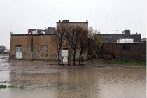 سیل به ۴۰۶ واحد مسکونی مسجدسلیمان خسارت زد