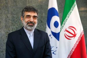آمریکایی‌ها فراتر از متن برجام نروند